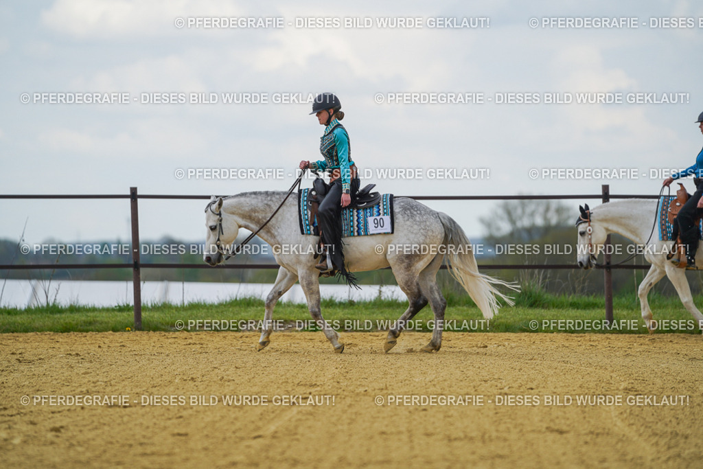 DSC06501 | Pferdegrafie