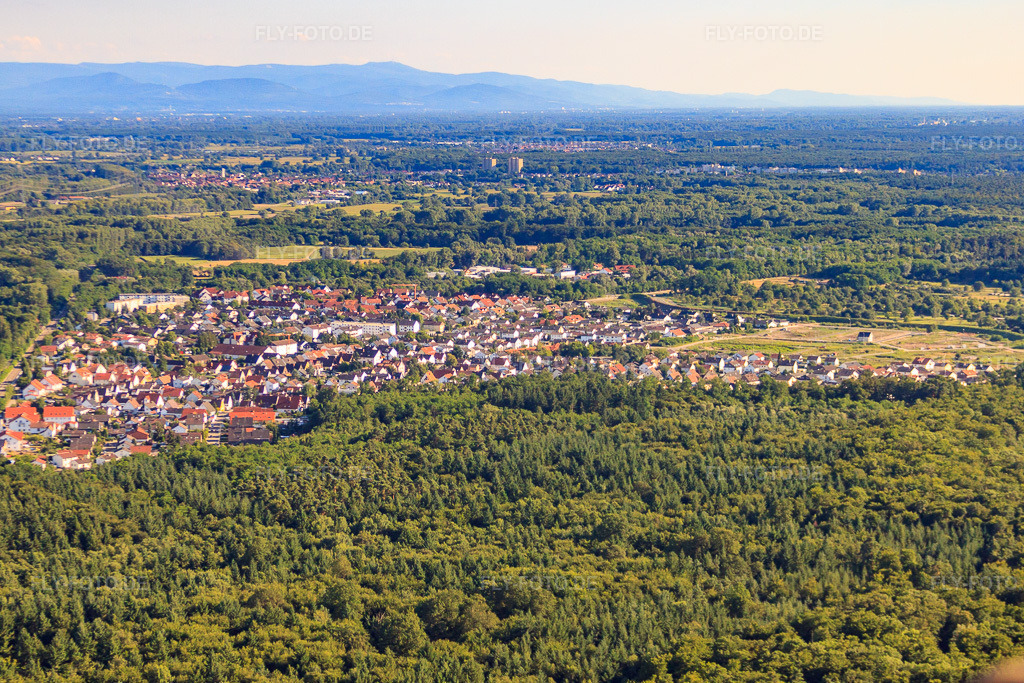 Luftbild: Stadtansicht von Norden in Jockgrim im Bundesland Rheinland-Pfalz in Deutschland. Foto: IMG_30789.jpg vom 31.07.2010 durch Werner Riehm/FLY-FOTO.de