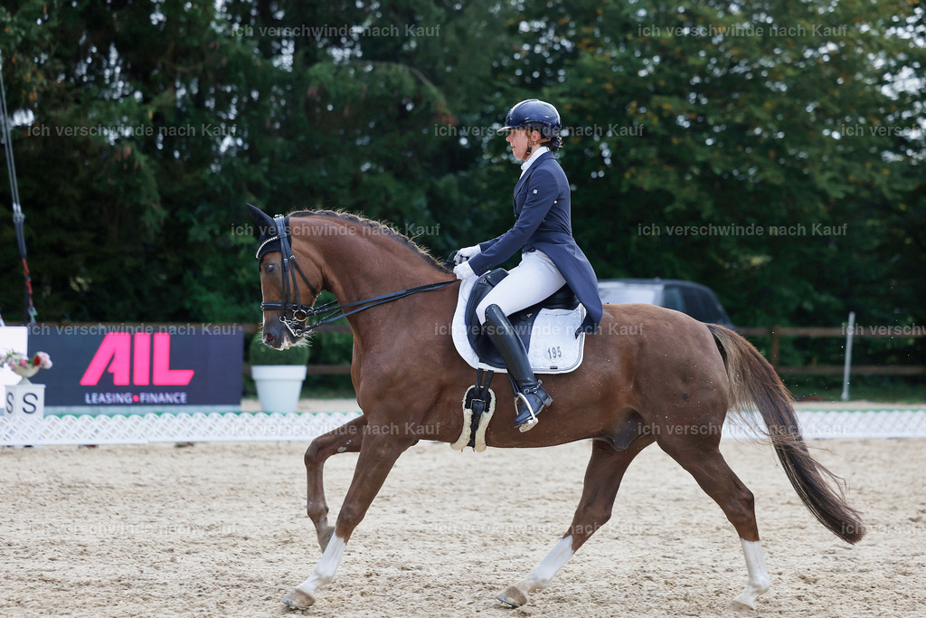 8_2-195-DRESSUR S_  -StoibPH-4526 | working equitationturnier fotograf videograf stoibphotography marixx film working equitation deutschland reitsport turnierfotografie eventfotografie equestrian events