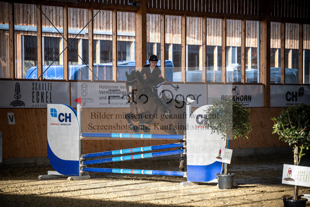 DOS_0907 | Entdecke hochwertige Reitturnierfotos von Foto Oger. Professionell, emotional und authentisch – jetzt Lieblingsmomente im Shop bestellen.Deutschlandweite Turnierfotografie. - Realisiert mit Pictrs.com