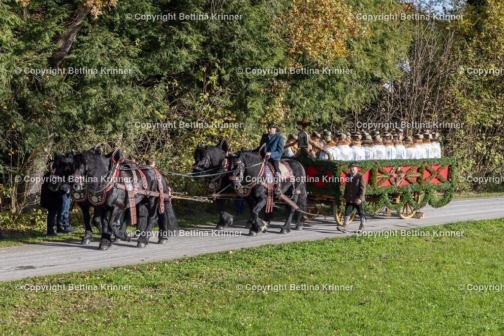 LBT24-384 | foto-bettina-krinner - Realisiert mit Pictrs.com