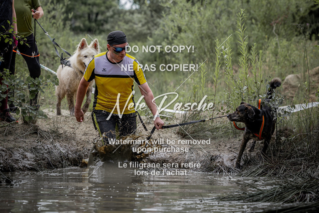 nelerasche_so1100-1145_221 | nelerasche