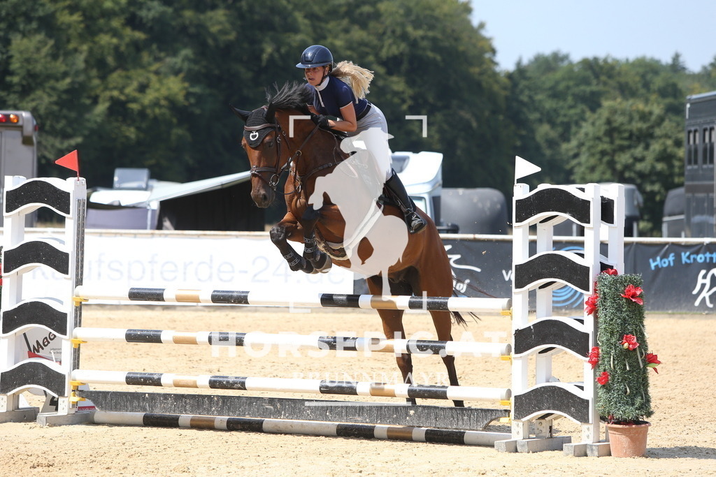 DL2Q0972 | Willkommen bei Brunnmayr - Design & Fotografie – Ihrem Spezialisten für Reitturniere und Pferdeveranstaltungen in Oberösterreich, Salzburg und Bayern! Seit über 17 Jahren sind wir leidenschaftlich dabei.