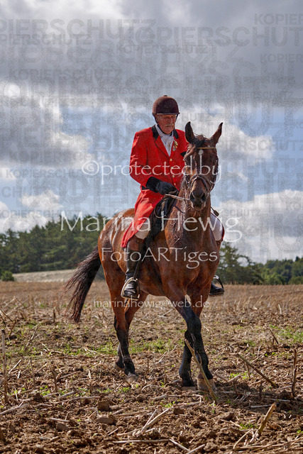 _MCH7991_Marina Hewig | Fotografie, FotoArt, PferdesportArt, Pferdesportfotografie, Landschaftsfotografie, Reisefotografie, Reise, Pferde - Realisiert mit Pictrs.com