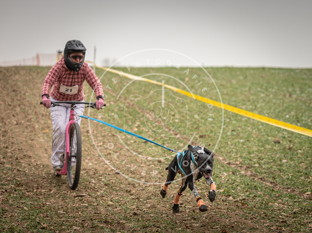 Pfotenfotografie_DV3A3797 | Hundefotografie, Tierfotograf, Pfotenfotografie, Fotoshooting Hund, Hunde Portrait, Hundesport, Hundeportraits, Heideshooting, Hunde, Sportfotograf, Hundefotograf, Turnierhundsport, THS,  - Realisiert mit Pictrs.com