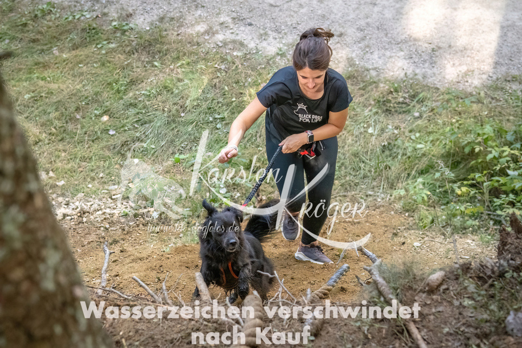 1050_ZZ92979 | kk-dogfotos