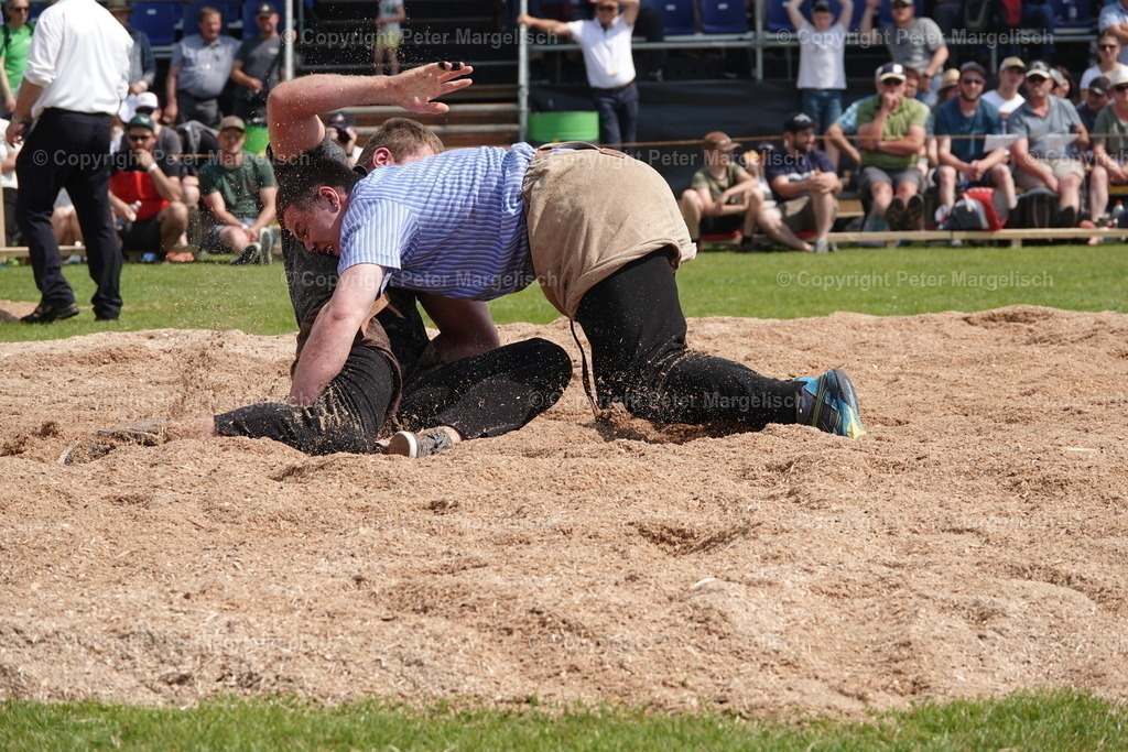 DSC04554 | Schwingen - Realisiert mit Pictrs.com