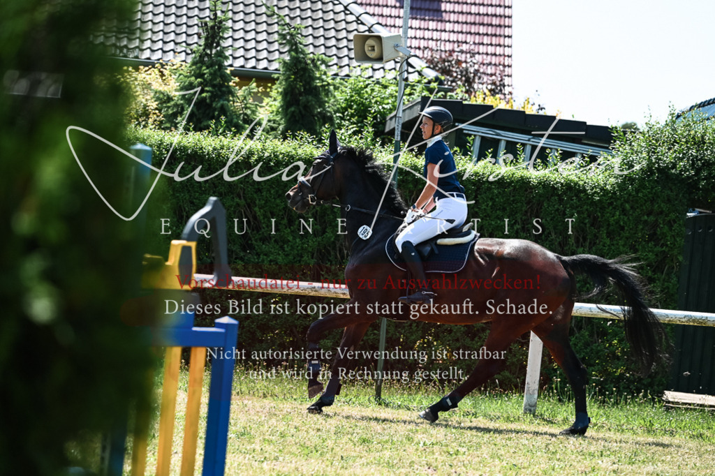 DSC_0085 | Pferde- und Turnierfotografie in Westsachsen. Pferdeportraits, Auftragszeichnungen und intuitive Kunst.