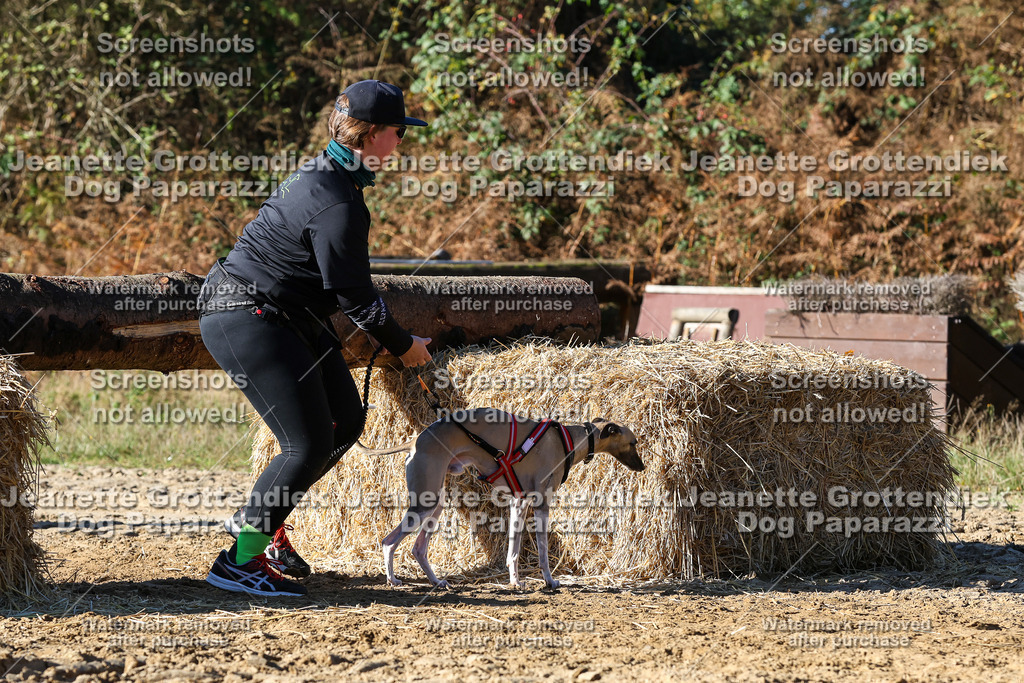 Dog Paparazzi - Strongdog 10-25-2337 | Dog Paparazzi Jeanette Grottendiek Fotografie & Videografie - Realisiert mit Pictrs.com