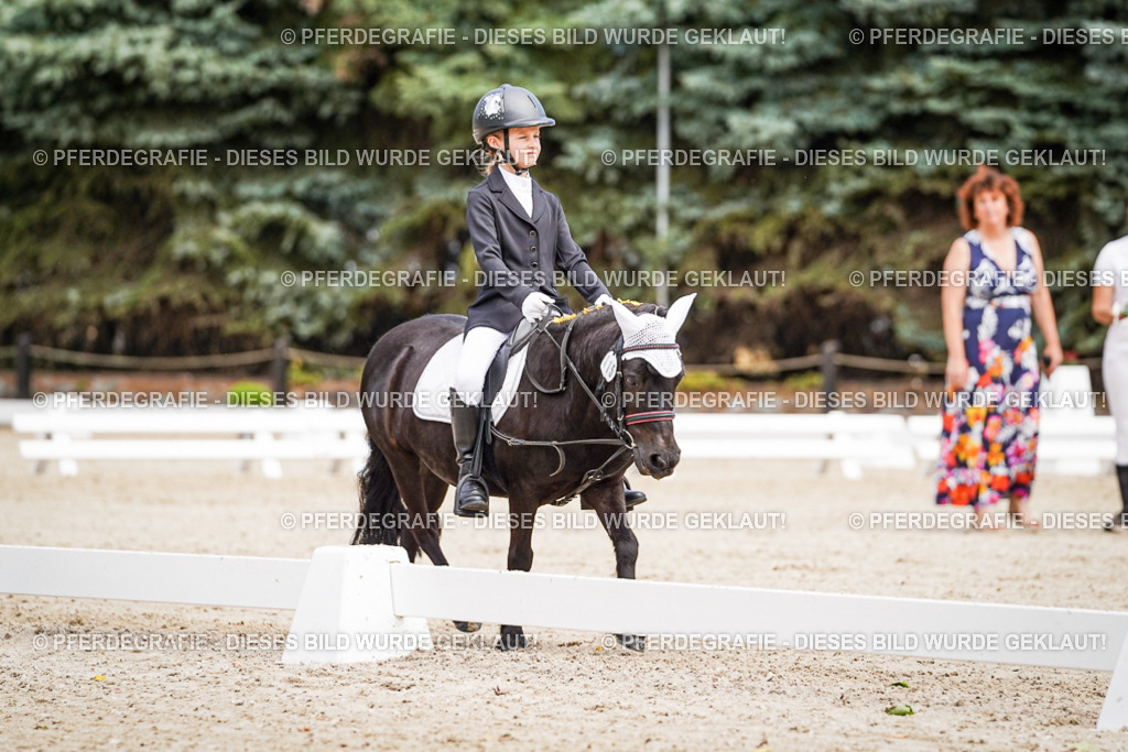 DSC02829 | Pferdegrafie