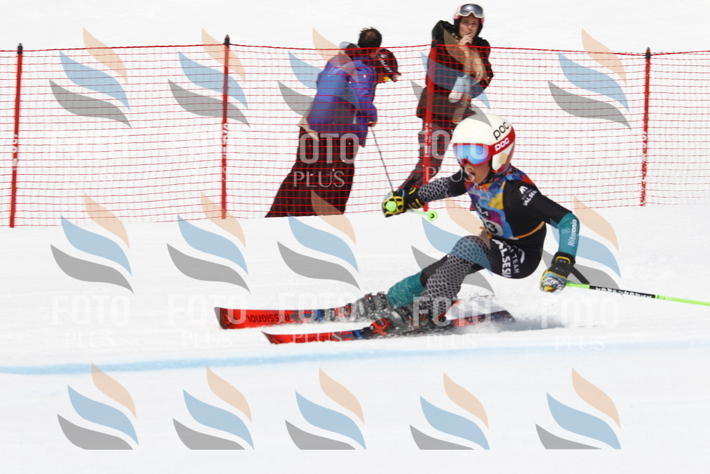 _U3G5070 | holidayphoto