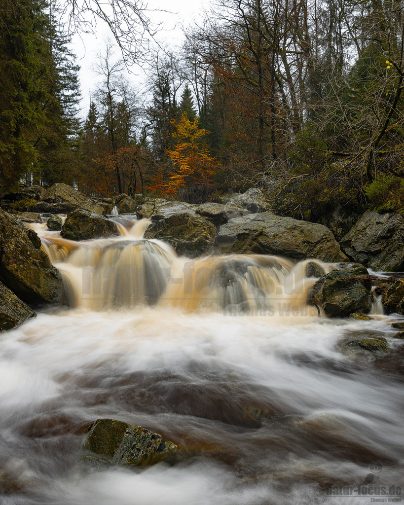 20231119161010-2 | Herbstliche Landschaft mit Gebirgsbach. - Realisiert mit Pictrs.com