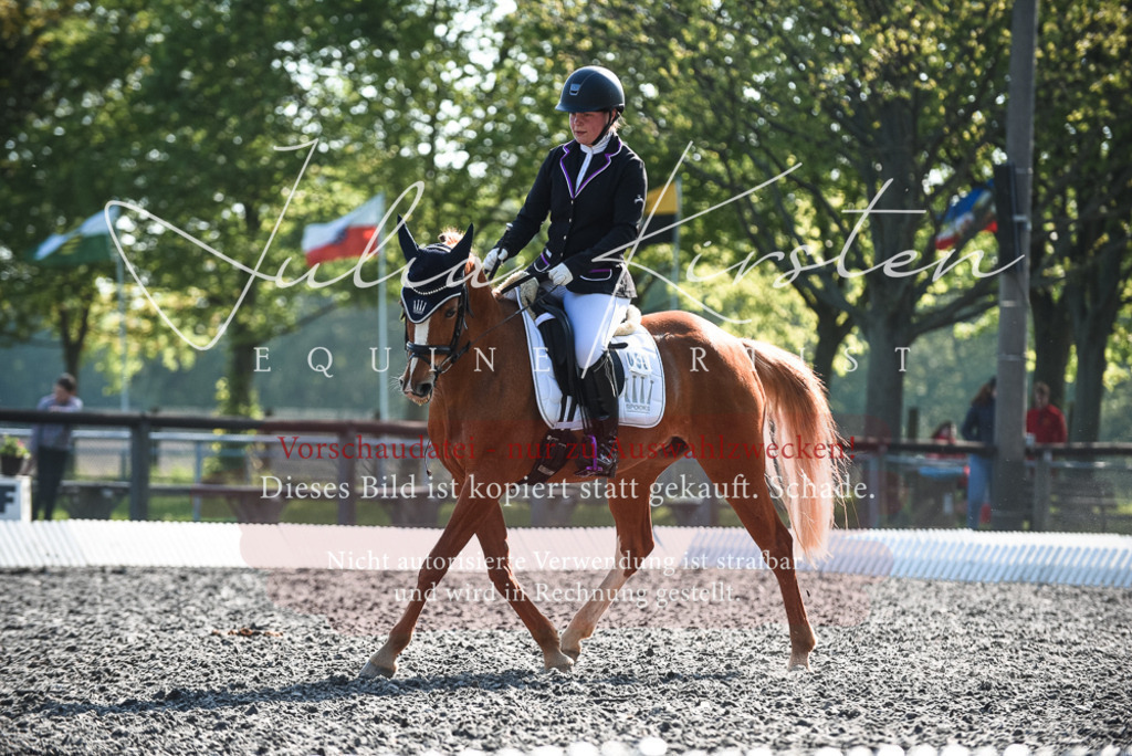 DSC_8435 | Pferde- und Turnierfotografie in Westsachsen. Pferdeportraits, Auftragszeichnungen und intuitive Kunst.