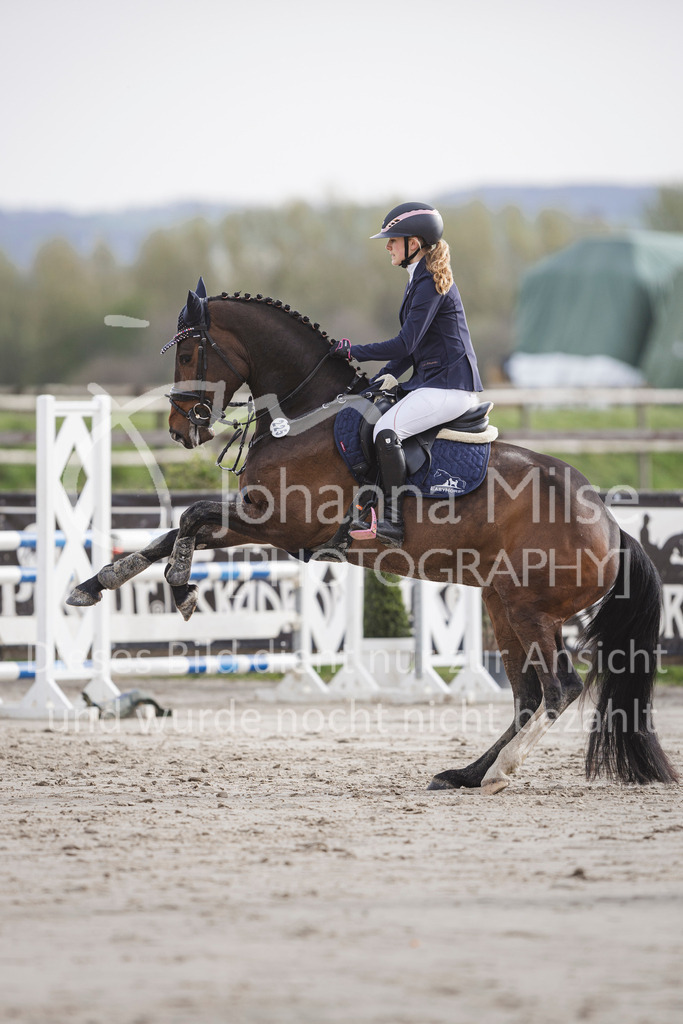 240330_Fruehlingsfest_Amateur-SprPf-A-216 | Deine schönsten Turniermomente als professionelle Fotos! Entdecke hochwertige Pferdesport-Fotografie im Online-Shop. Jetzt Fotos finden & bestellen!