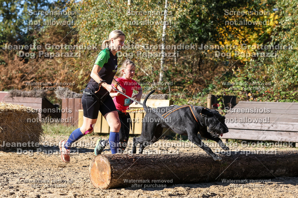 Dog Paparazzi - Strongdog 10-25-2745 | Dog Paparazzi Jeanette Grottendiek Fotografie & Videografie - Realisiert mit Pictrs.com