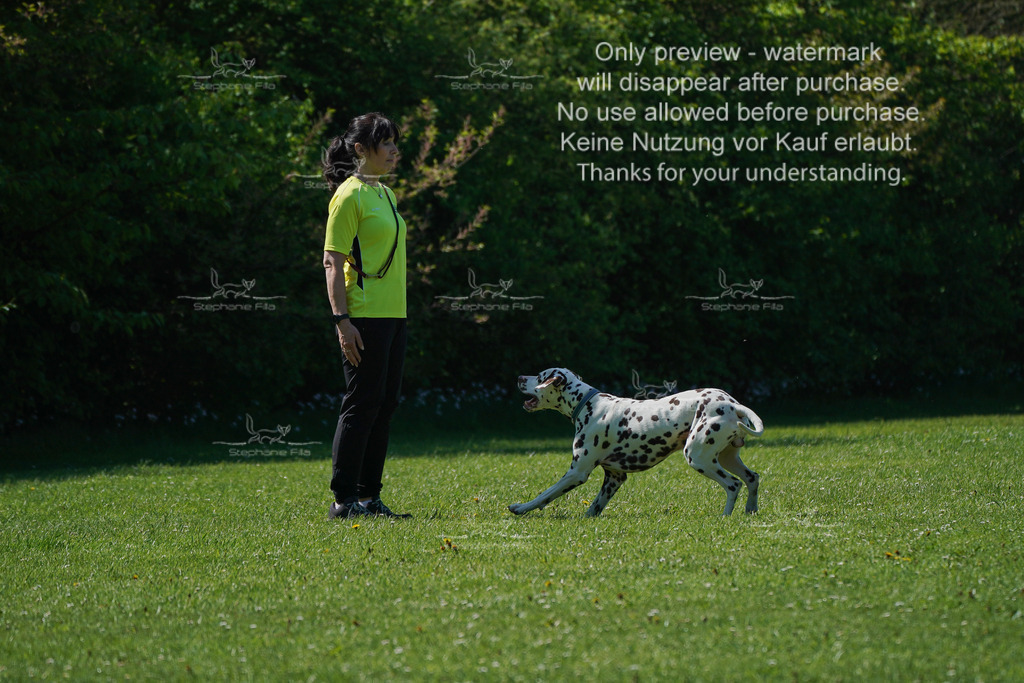 Sa_Gehorsam_Vormittag-144 | stephaniefillaphotographie - Realisiert mit Pictrs.com