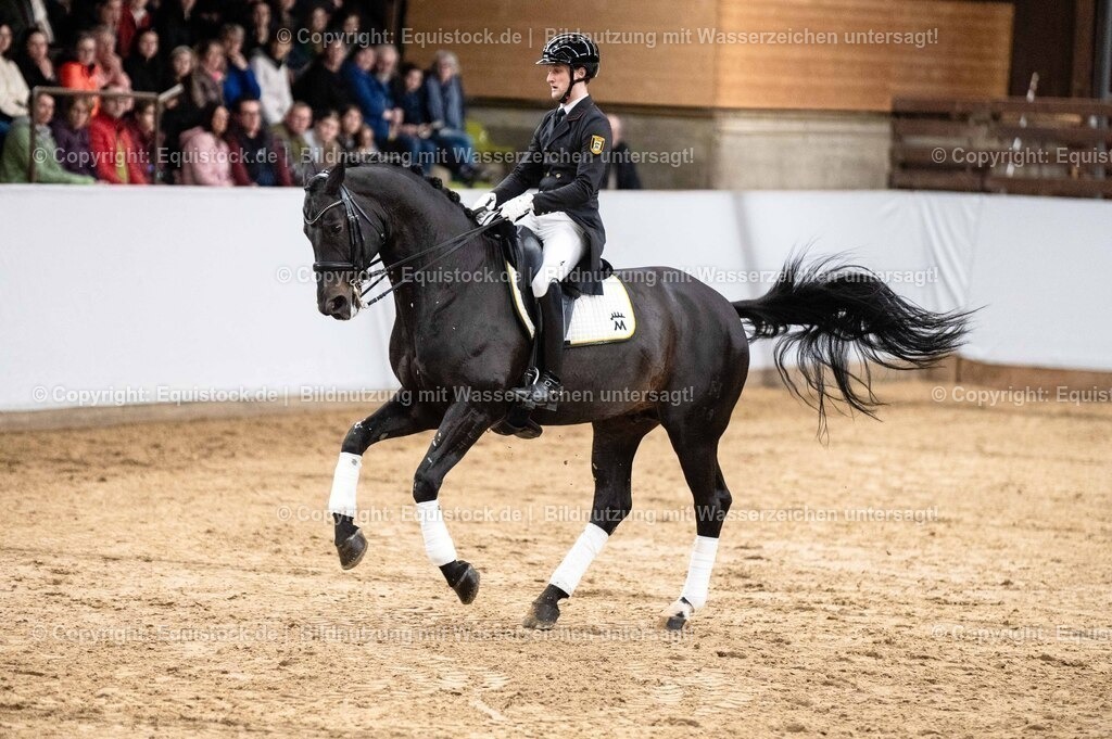 20260307_Hengstvorstellung-Marbach_0495 | equistock