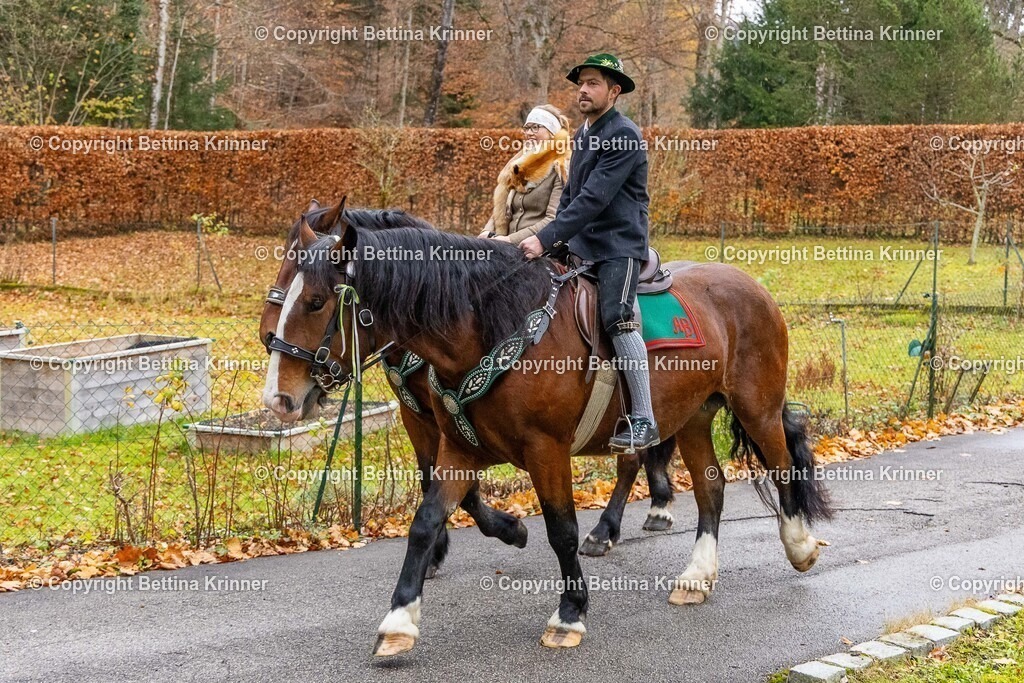 LL25-131 | foto-bettina-krinner - Realisiert mit Pictrs.com