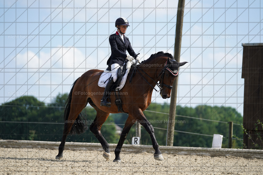 20230826-FAH06023 | Forstinning, 2023, Dressurturnier, Turniersportbilder, Turnierfotografen Bayern, Fotoagentur Herrmann, Reitsportfotografie, Turnierbilder