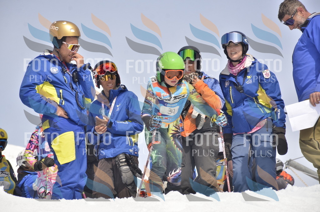 _ELE8691 | holidayphoto