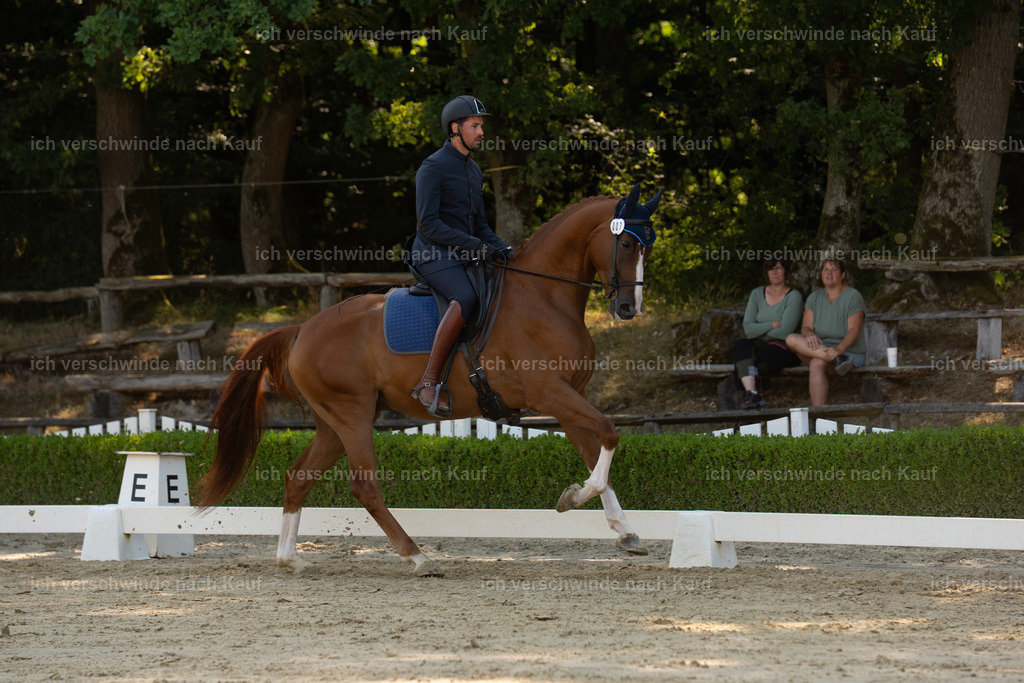 WA_DR_7_SinaFilmArt_IN01028 | working equitationturnier fotograf videograf stoibphotography marixx film working equitation deutschland reitsport turnierfotografie eventfotografie equestrian events
