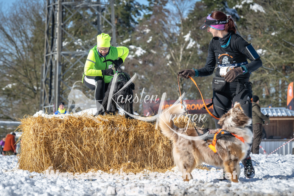 1132_ZZ90014-4 | kk-dogfotos