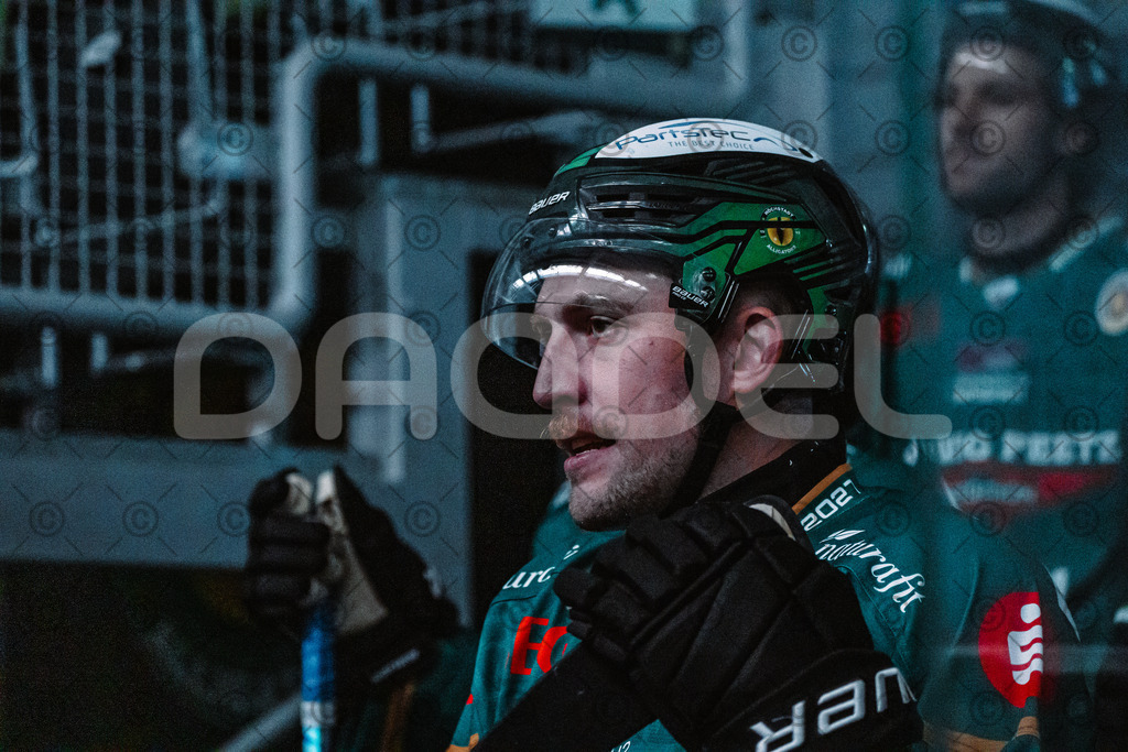 Alligators_vs_Peiting_04_10_2026-02 | Die Fotogalerie von Daddel: professionelle Bilder von Sport, Events und Unternehmen aus Franken. Jetzt Galerien durchstöbern und Lieblingsfotos bestellen. - Realisiert mit Pictrs.com