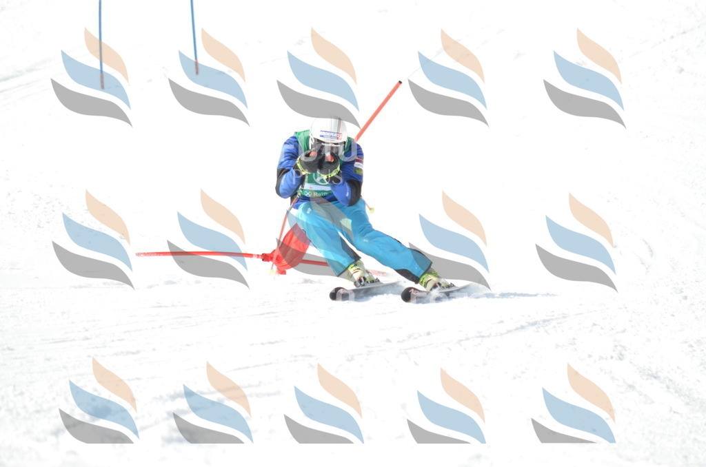 D9233 | holidayphoto