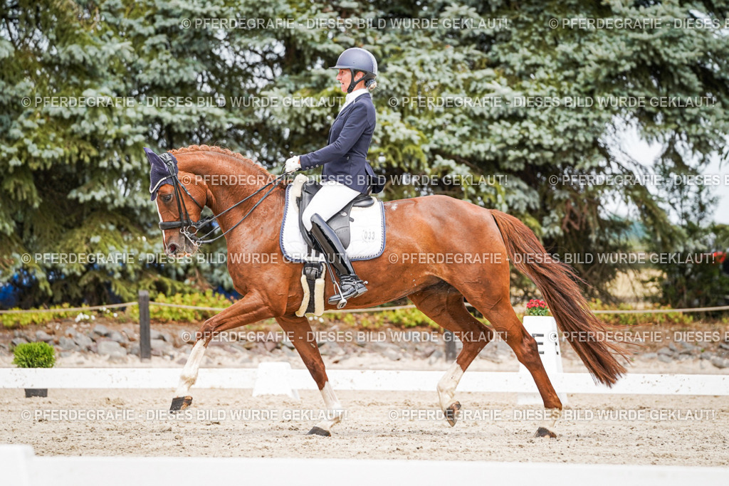 DSC05193 | Pferdegrafie