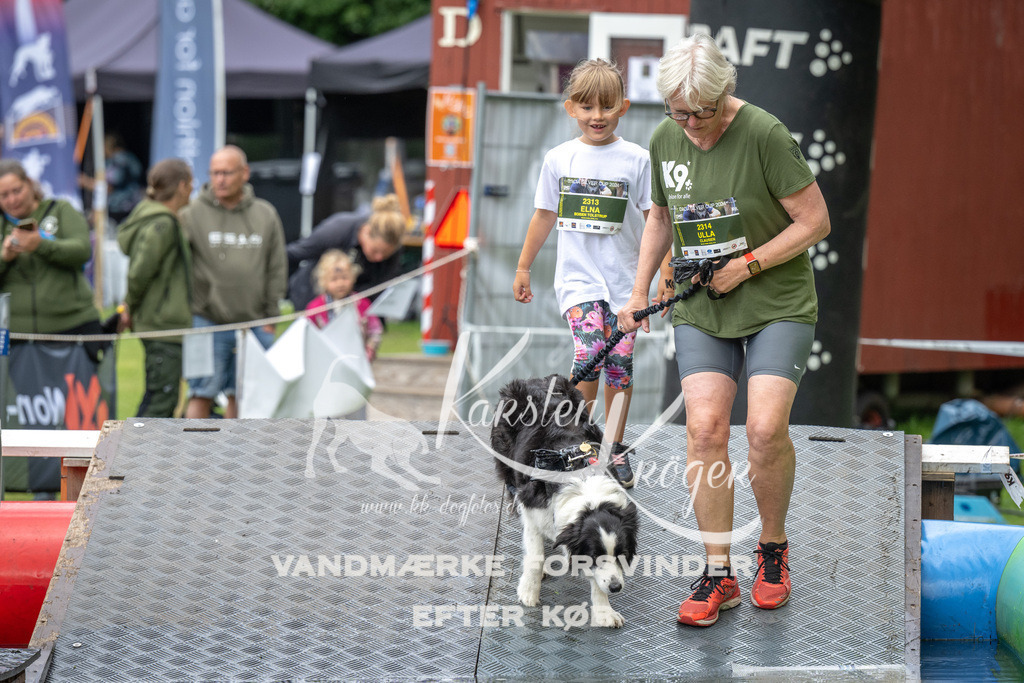 1436_ZZ91603 | kk-dogfotos