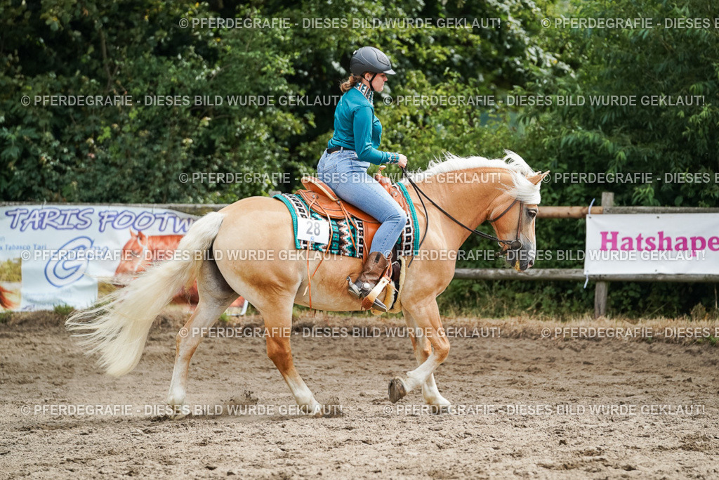 DSC04259 | Pferdegrafie