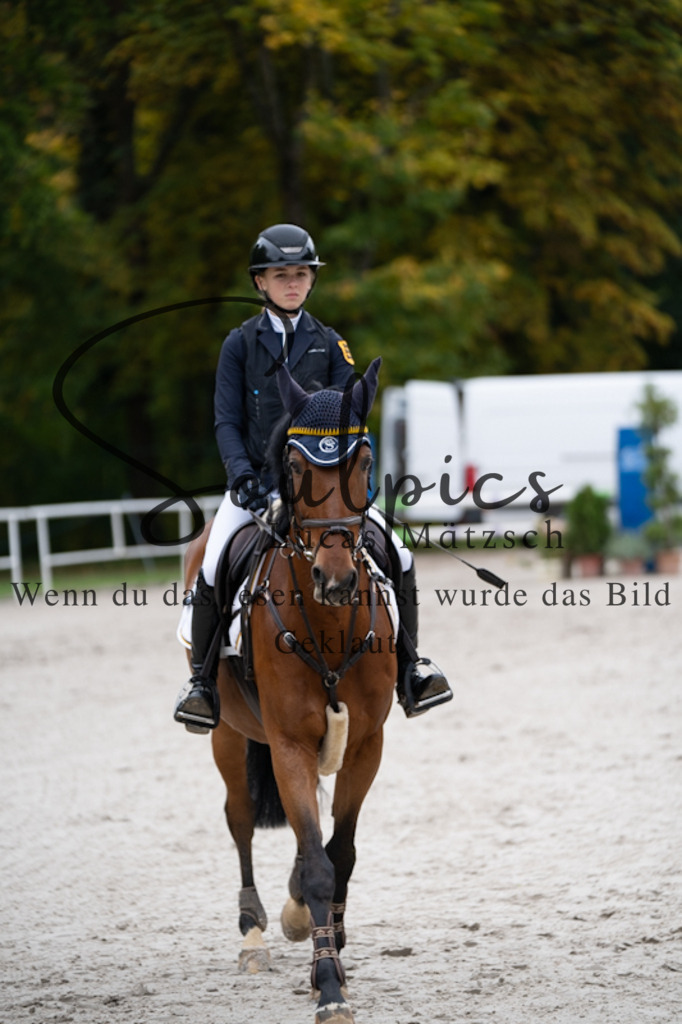 A7V00993 | Pferdefotograf