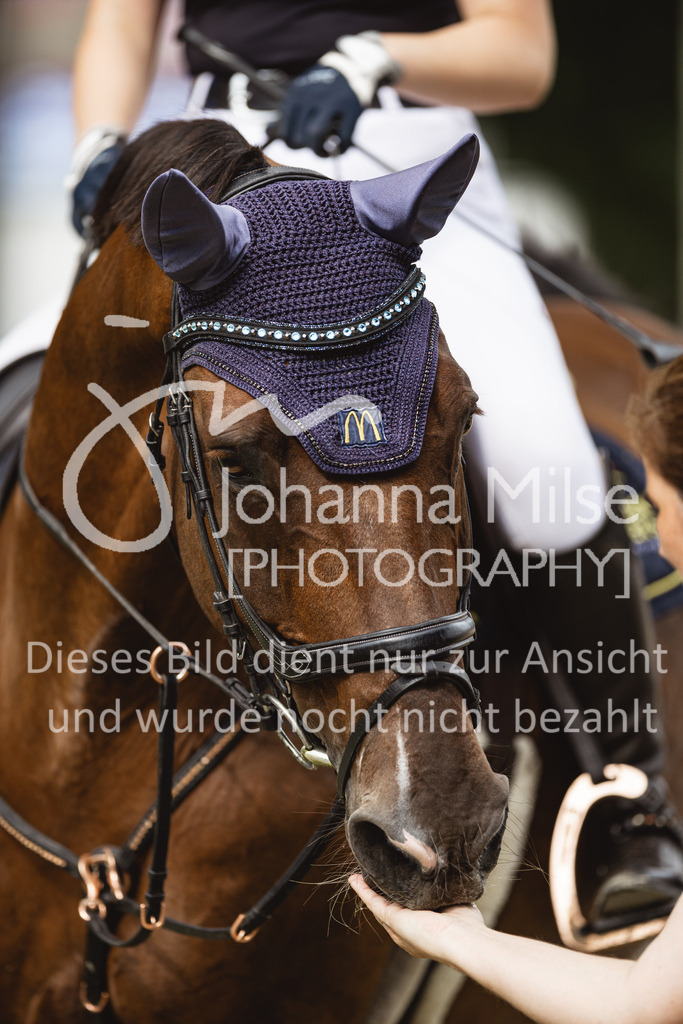 230824_Delbrueck_AmateurM2-228 | Deine schönsten Turniermomente als professionelle Fotos! Entdecke hochwertige Pferdesport-Fotografie im Online-Shop. Jetzt Fotos finden & bestellen!