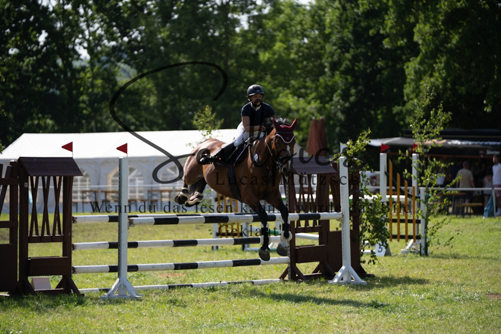 A7V06575 | Pferdefotograf