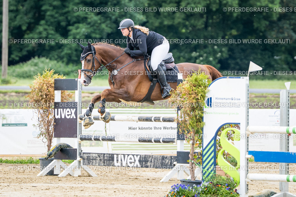 DSC04364 | Pferdegrafie