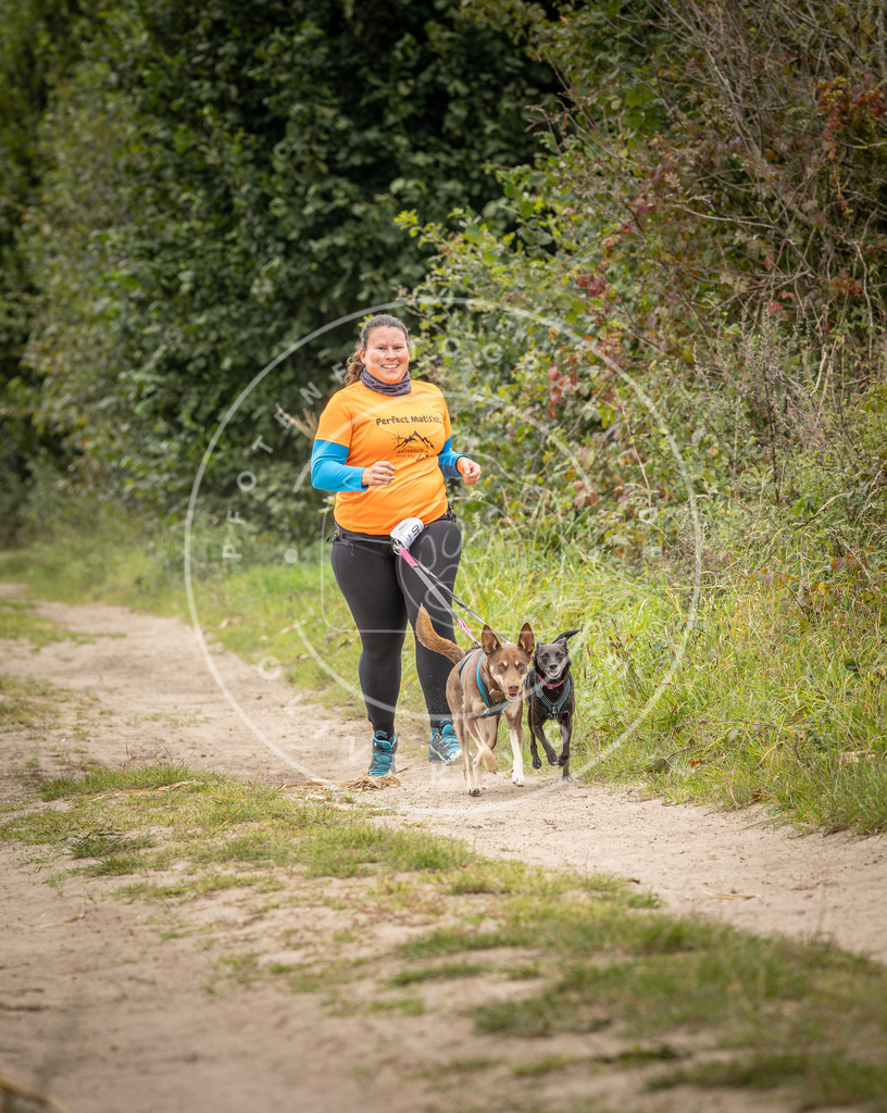 Pfotenfotografie_DV3A7913 | Hundefotografie, Tierfotograf, Pfotenfotografie, Fotoshooting Hund, Hunde Portrait, Hundesport, Hundeportraits, Heideshooting, Hunde, Sportfotograf, Hundefotograf, Turnierhundsport, THS,  - Realisiert mit Pictrs.com