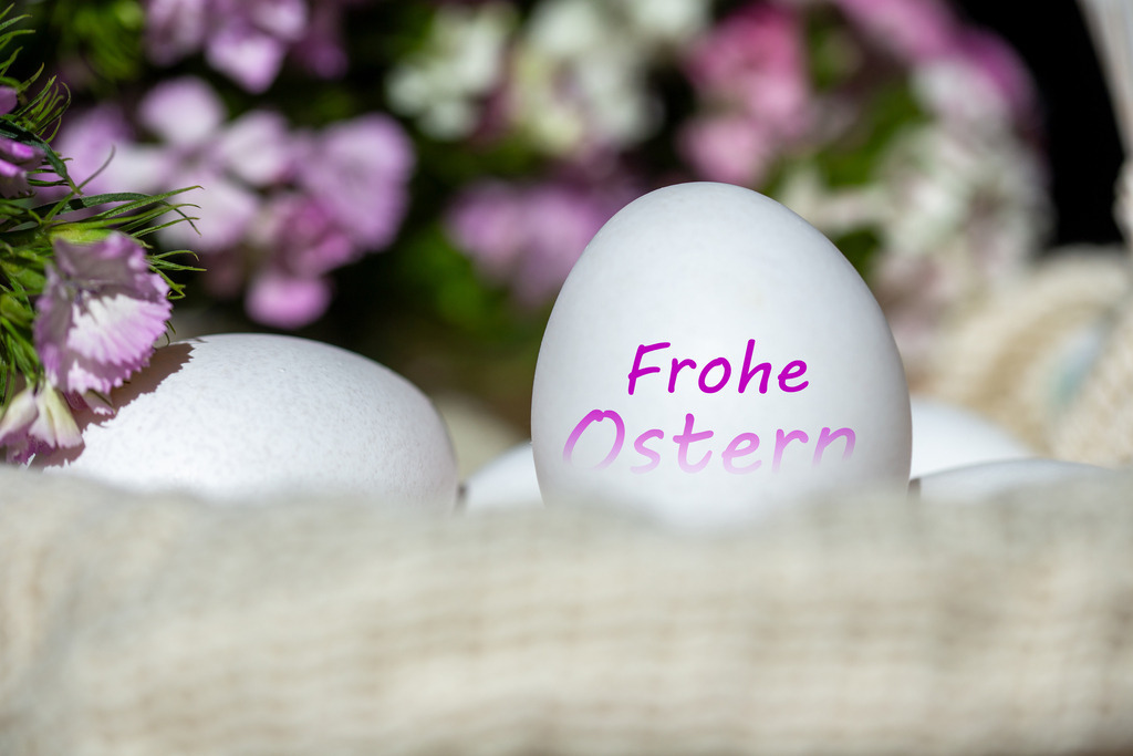 Ostergrüße - Frohe Ostern | Ei mit (digital hinzugefügtem) Text FROHE OSTERN, im Hintergrund Frühlingsblumen - Realisiert mit Pictrs.com