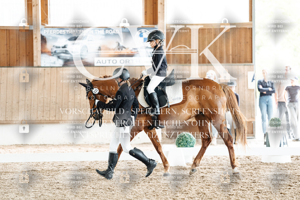 CK901804 | Turnierfotografie Pferdefotografie Trier Rheinland-Pfalz Pferdesport Reitsport Tierfotografie Sportfotografie Pferdevideo Pferdevideografie Equestrianvideography equestrianphotography  - Realized with Pictrs.com