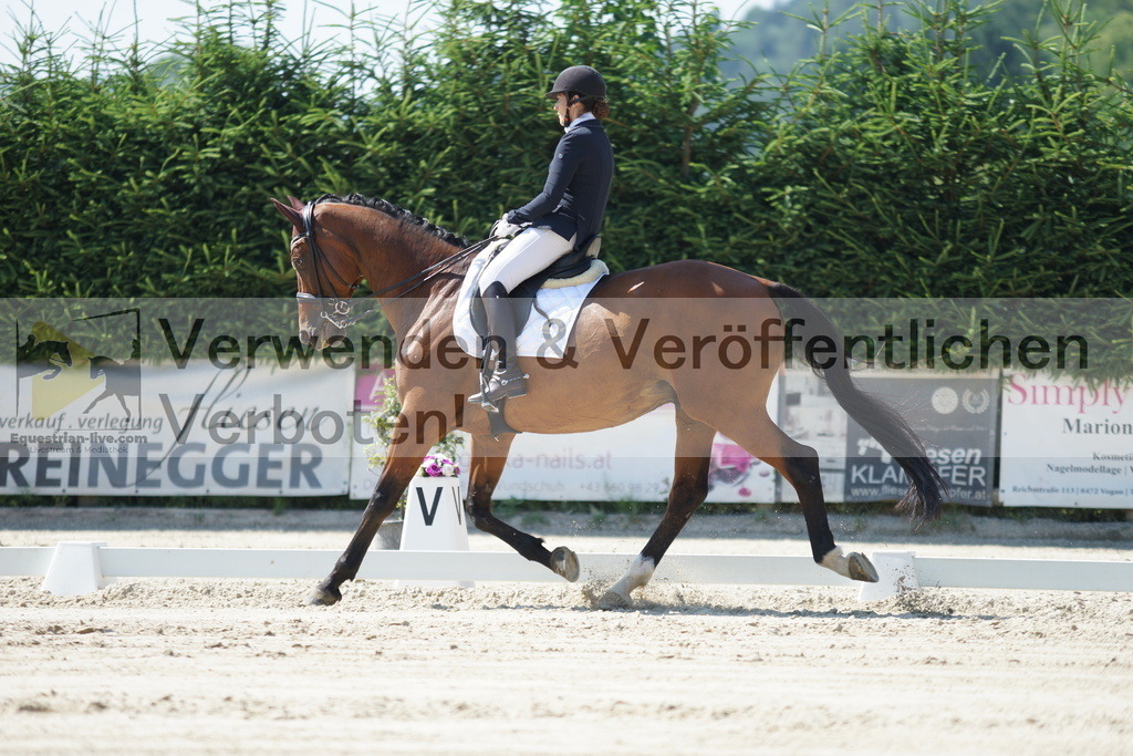 DSC02361 | equestrian-live-com
