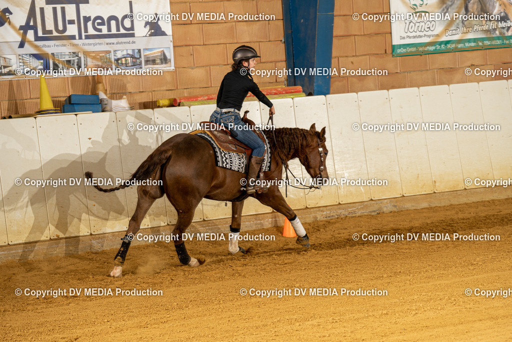 MIT00239 | dv-media-shop - Realisiert mit Pictrs.com