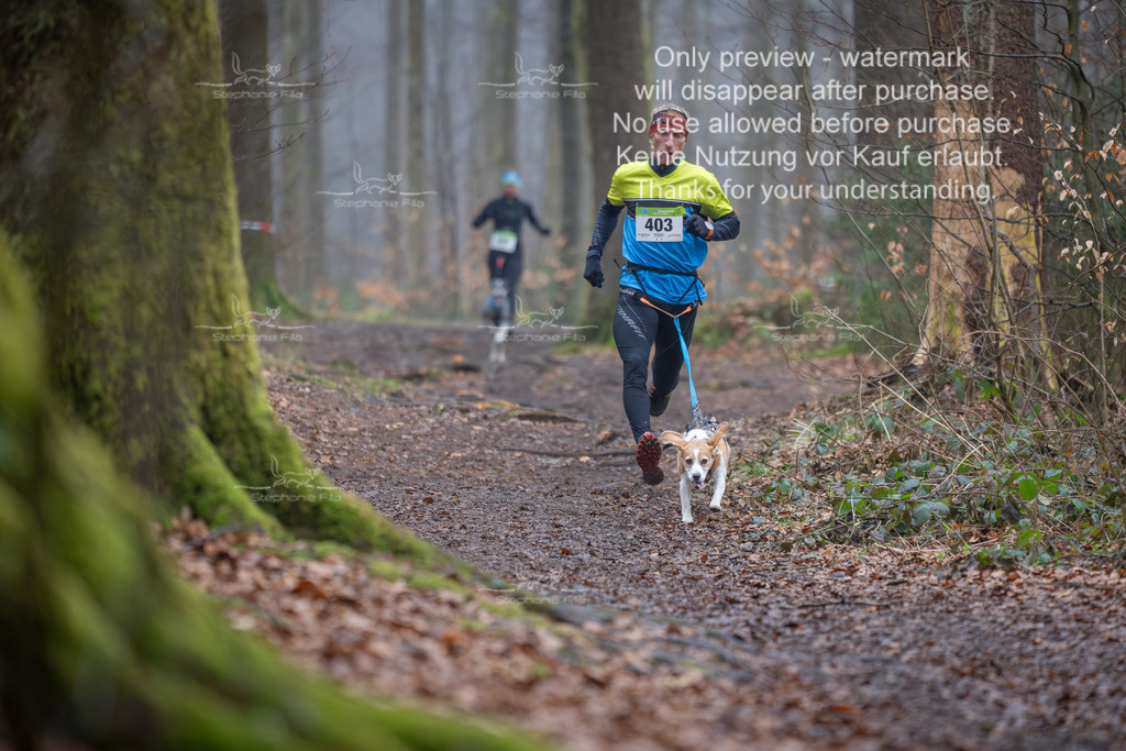 Canix_So-34 | stephaniefillaphotographie - Realisiert mit Pictrs.com