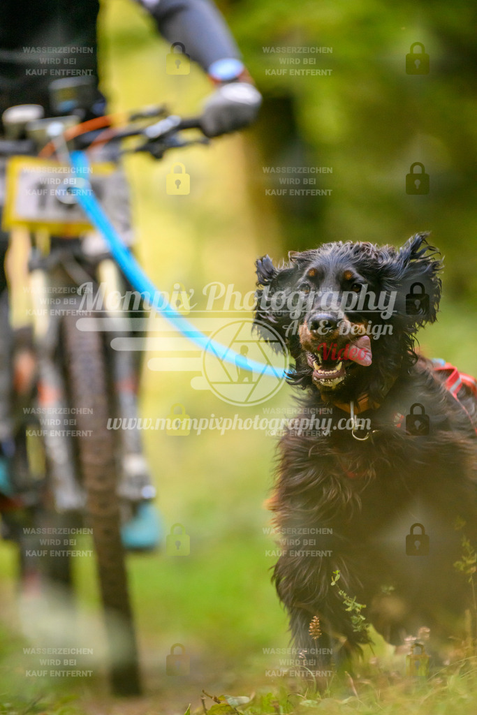 MompixPhotography_Yens2025_B2-68 | PayLife