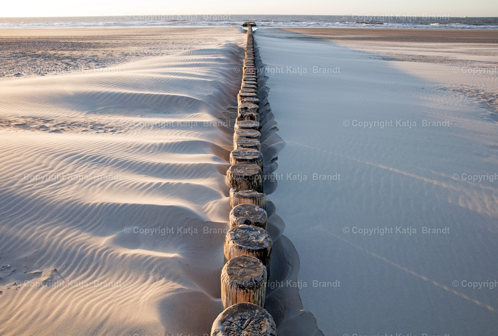 Dalben-2A5A1028 | Katja Brandt 