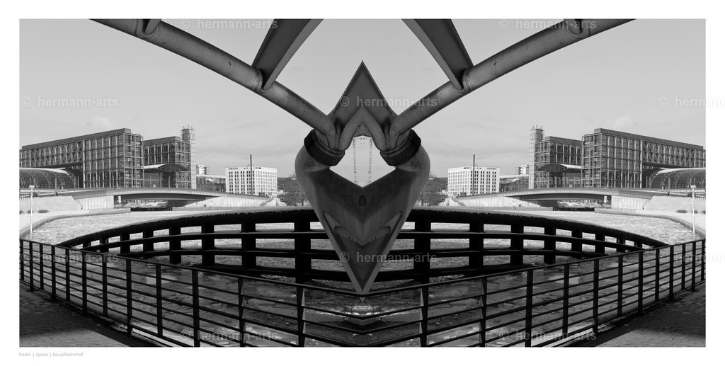 selbstbegegnung_10_03_24_einzeln17 | Photo Foto Kunst Art schwarzweiss Bilder Rheine Münster Berlin Blumen 