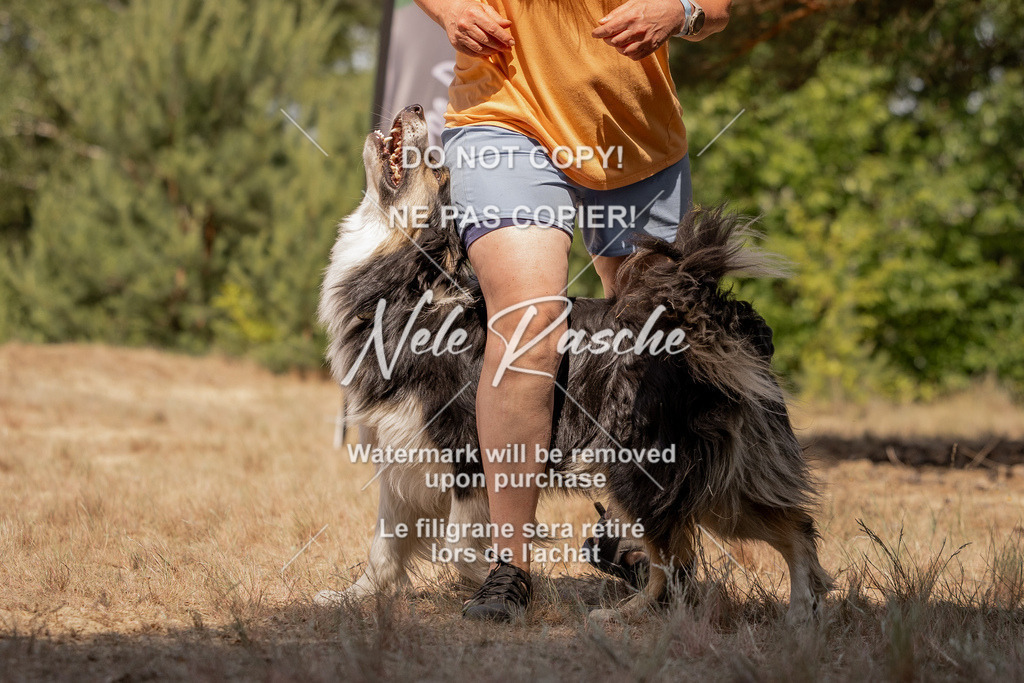 nelerasche_soDD2_469 | nelerasche