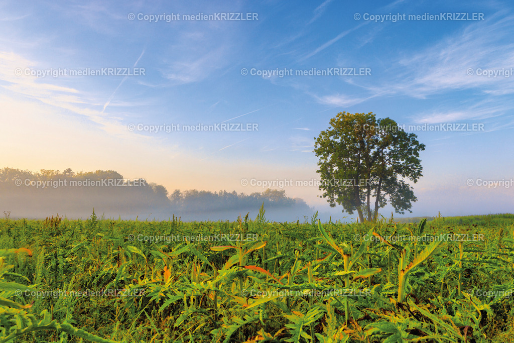 _J3A8544 | medienkrizzler - Realisiert mit Pictrs.com