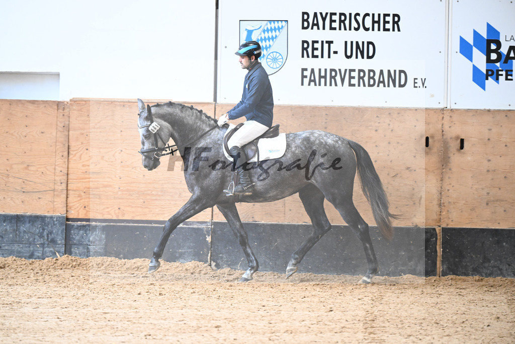 Kat-Nr. 1 Caramia v. Castino_Riepertinger_50250218 | hf-fotografie - Realisiert mit Pictrs.com