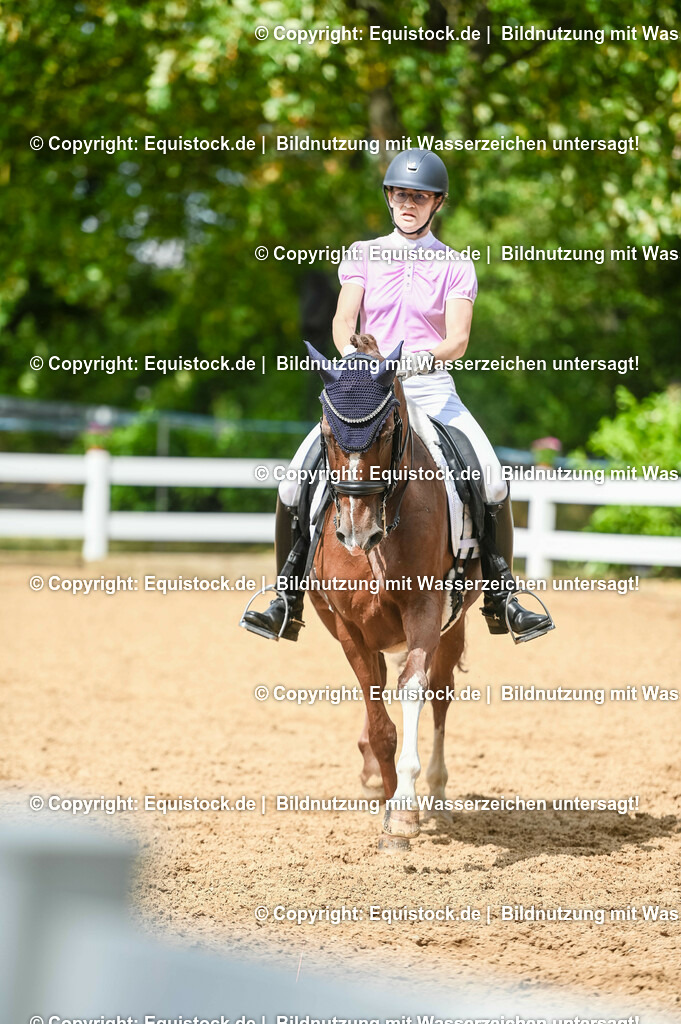 20230716_01_Dressurprüfung Kl.M_0385 | equistock
