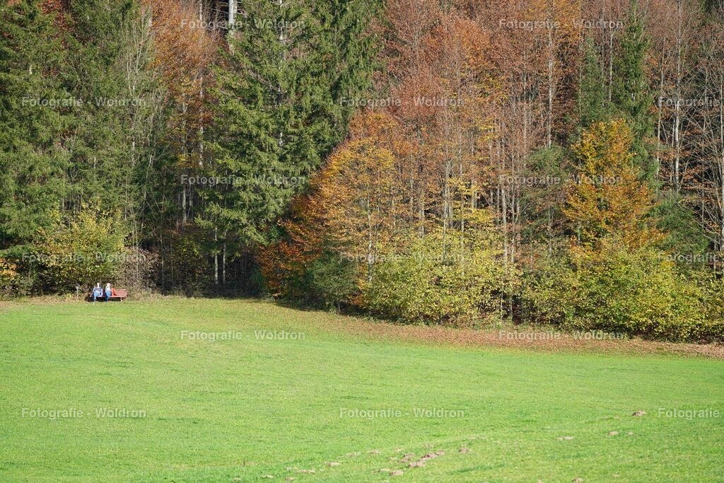 20221023 Erlaufsee - Lunz am See - Mariazell-32 | Fotografie Woldron