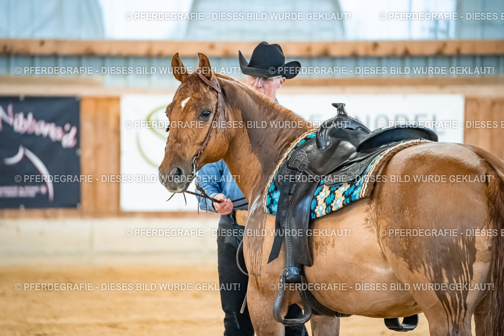 DSC00327 | Pferdegrafie